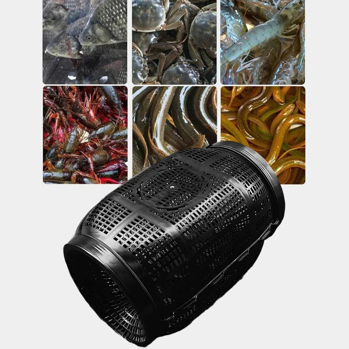 Gaiola de Captura para Peixes - TrapBox Pro